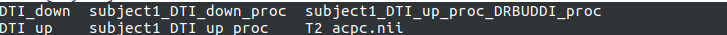 DRBUDDI processing main folder