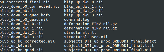 DRBUDDI outputs